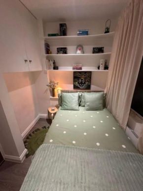 Petit studio in Paddington